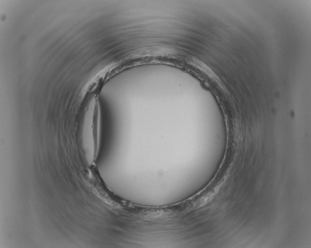 X0000068730826200605262023