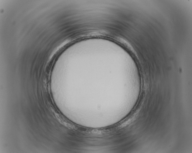 X0000068730827200605262023