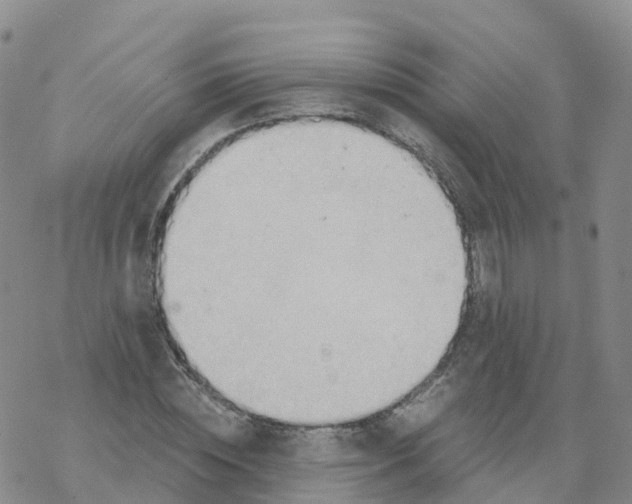 X0000068730828200605262023