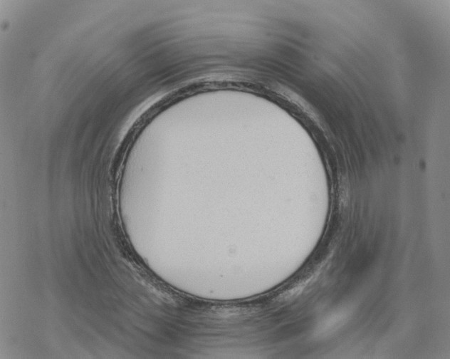 X0000068730829200605262023