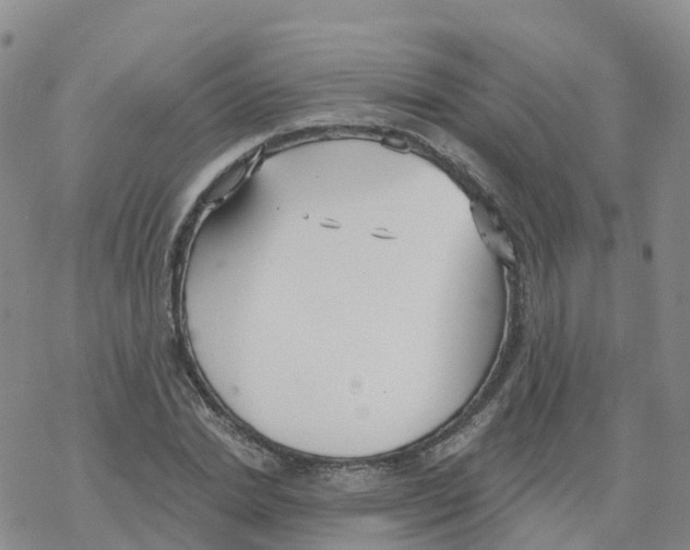 X0000068730830200605262023