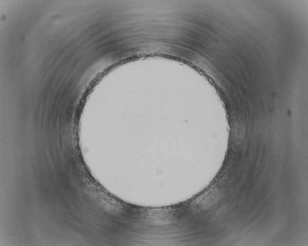 X0000068730832200605262023