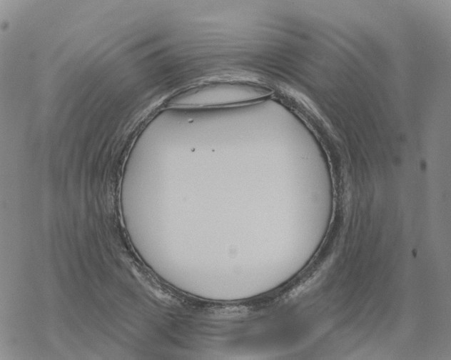 X0000068730833200605262023