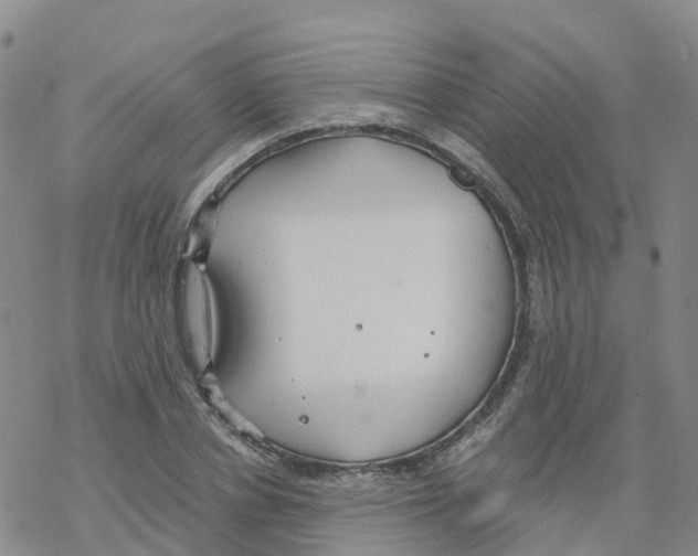 X0000068730834200605262023