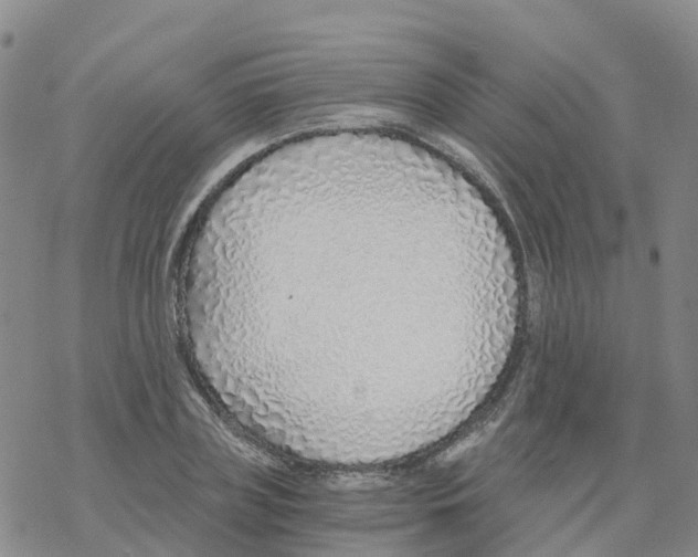 X0000068730835200605262023