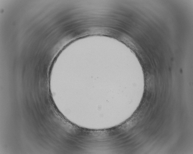 X0000068730836200605262024