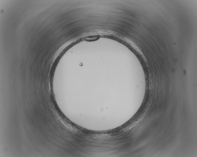 X0000068730837200605262024