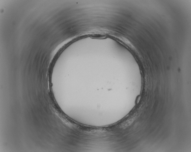 X0000068730838200605262024