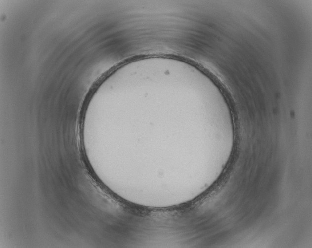 X0000068730840200605262024