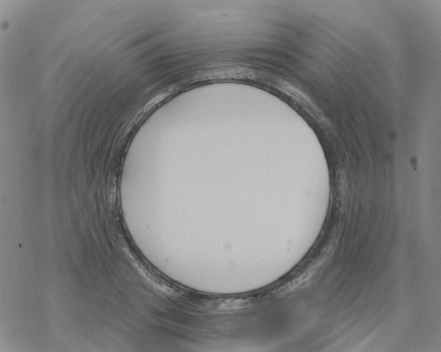 X0000068730841200605262024