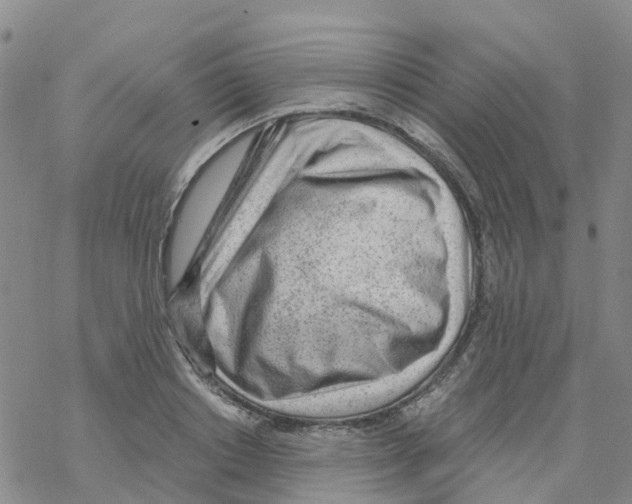 X0000068730842200605262024