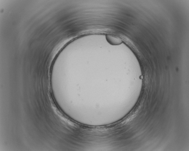 X0000068730844200605262024