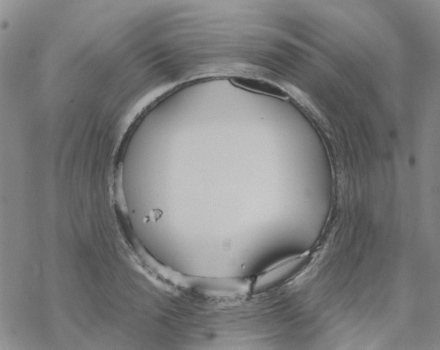 X0000068730846200605262024