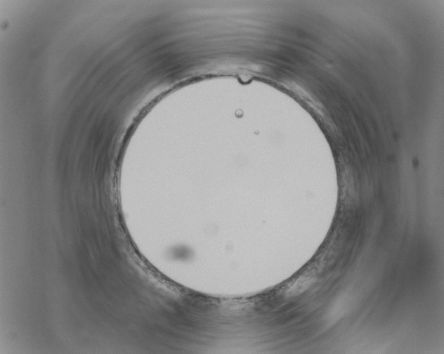 X0000068730848200605262024