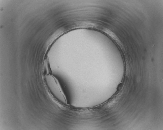 X0000068730850200605262024