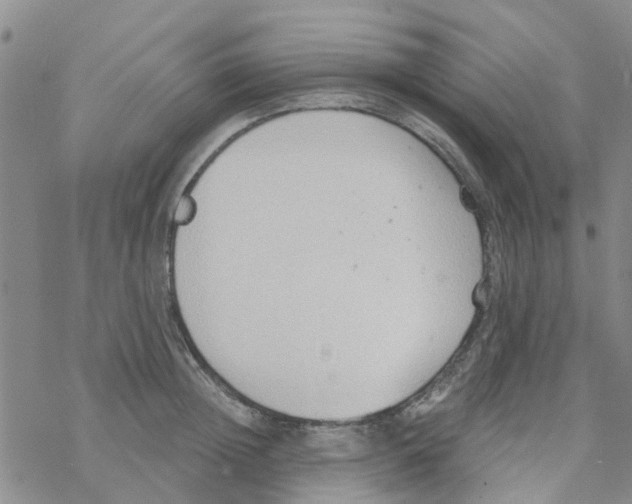 X0000068730852200605262024