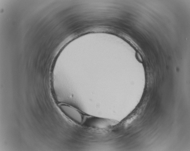 X0000068730853200605262024