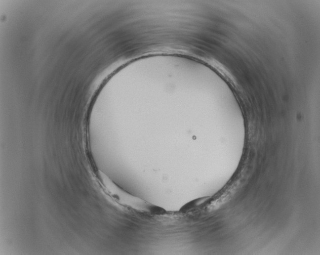 X0000068730854200605262024