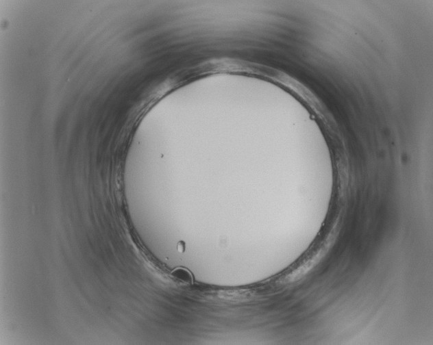 X0000068730857200605262024