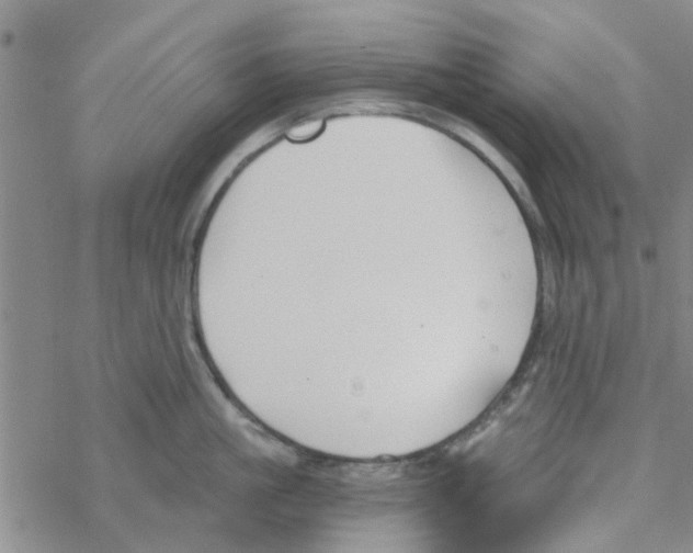 X0000068730861200605262024