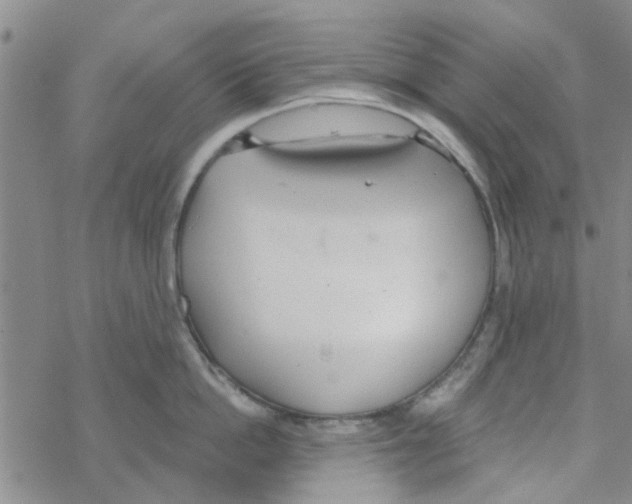 X0000068730862200605262024