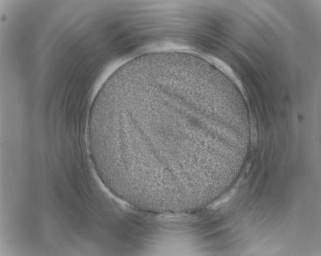 X0000068730863200605262024