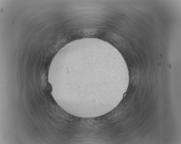 X0000068730866200605262023