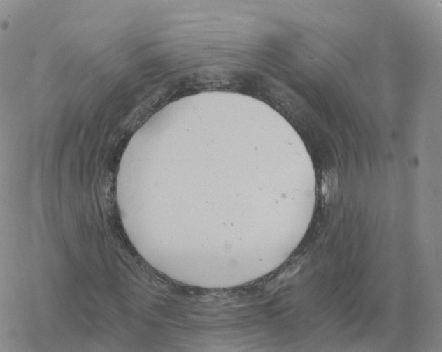 X0000068730867200605262023