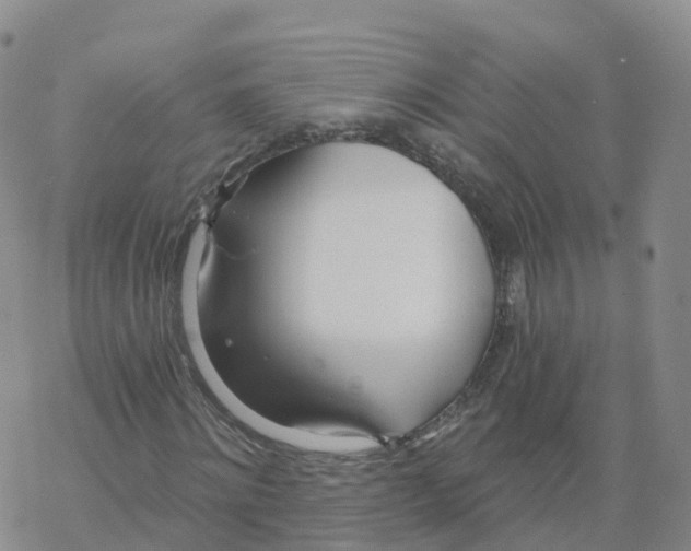 X0000068730868200605262023