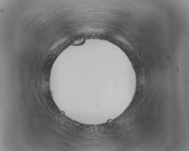 X0000068730869200605262023