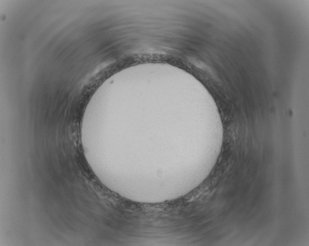 X0000068730870200605262023