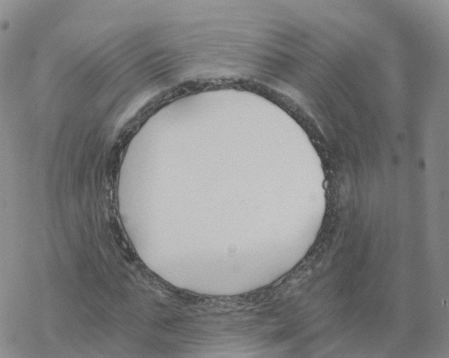 X0000068730871200605262023