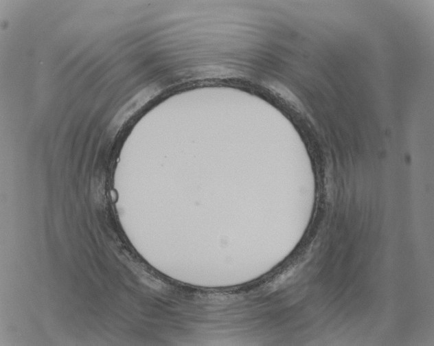 X0000068730873200605262023