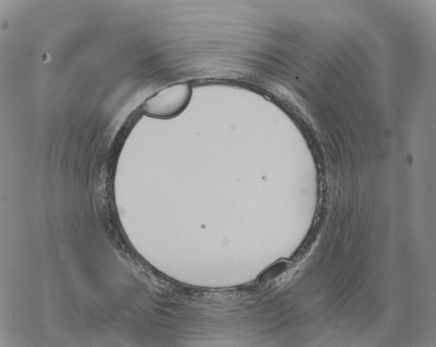 X0000068730875200605262023