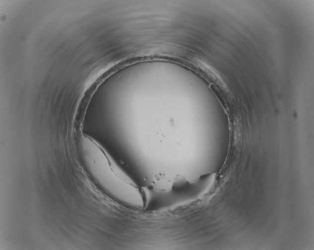 X0000068730876200605262023