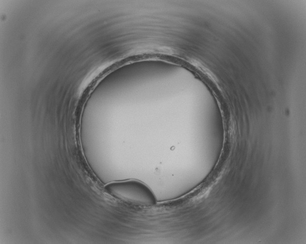 X0000068730877200605262023