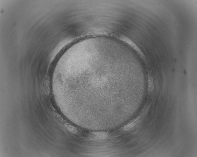 X0000068730878200605262023