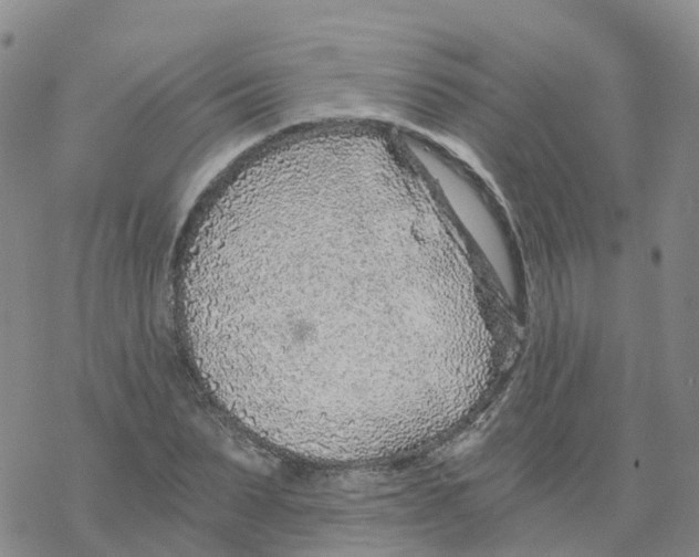 X0000068730879200605262023