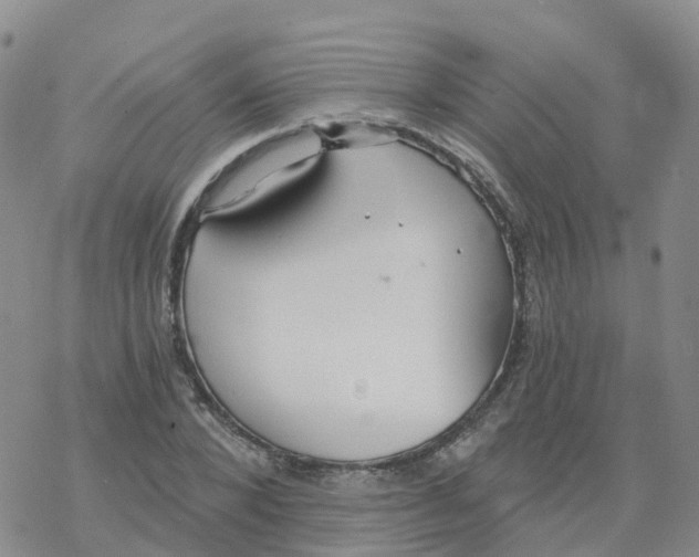 X0000068730880200605262023