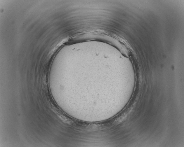 X0000068730881200605262023