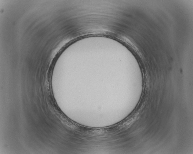 X0000068730883200605262023