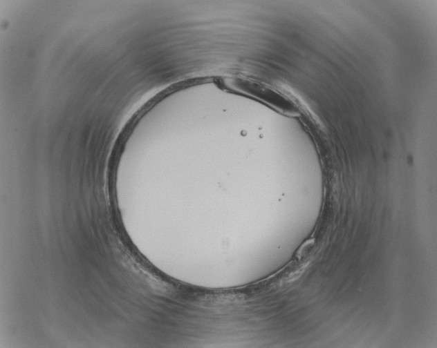 X0000068730884200605262023