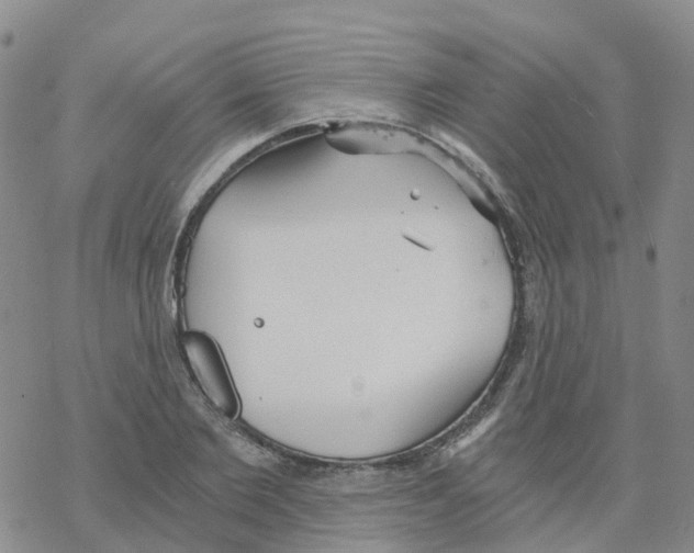 X0000068730885200605262023