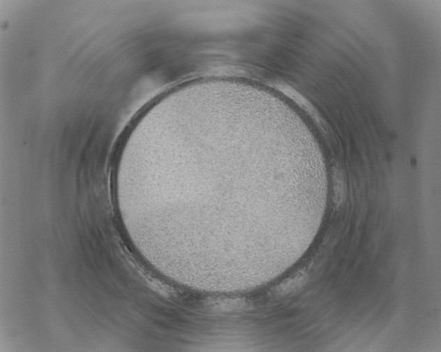 X0000068730886200605262023