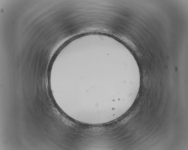 X0000068730888200605262023