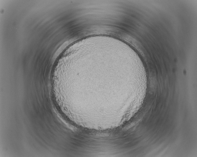 X0000068730890200605262023