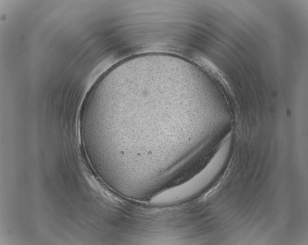 X0000068730892200605262023