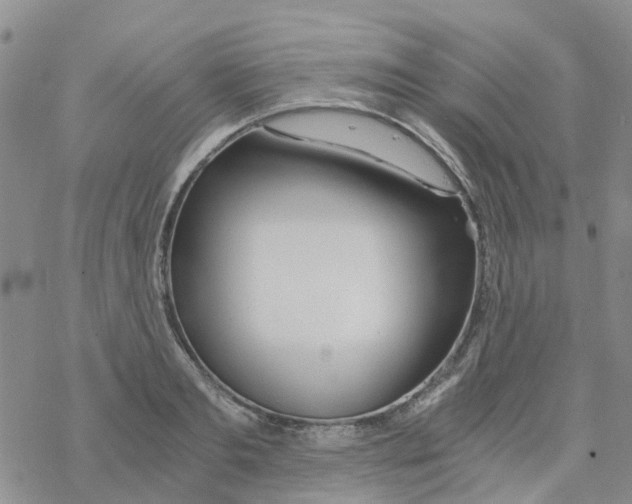 X0000068730893200605262023