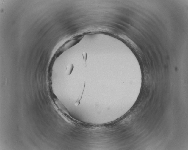 X0000068730894200605262023