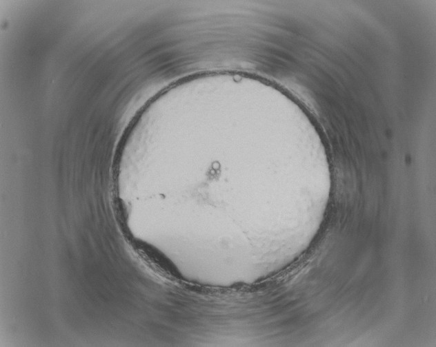 X0000068730895200605262023